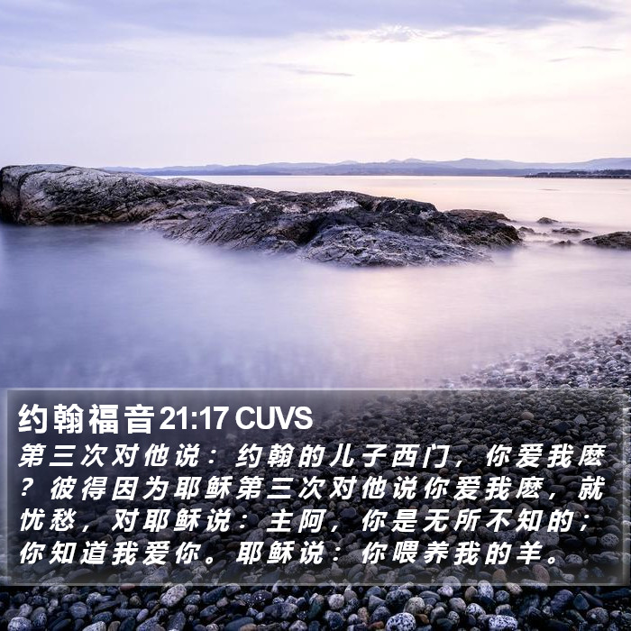 约 翰 福 音 21:17 CUVS Bible Study