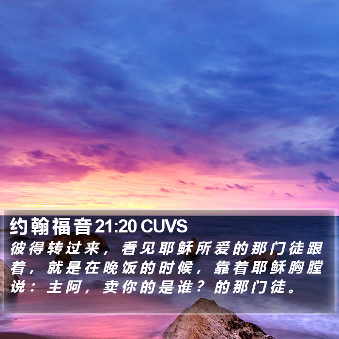 约 翰 福 音 21:20 CUVS Bible Study