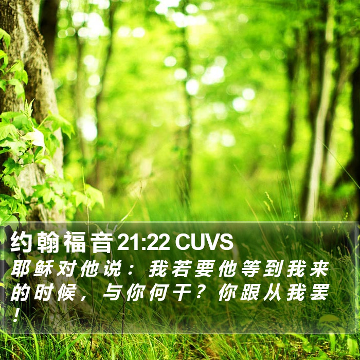 约 翰 福 音 21:22 CUVS Bible Study