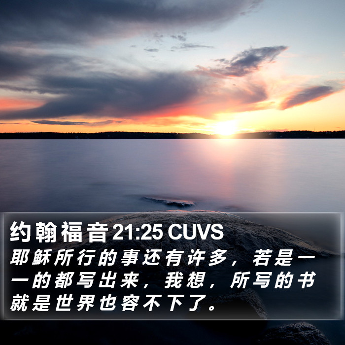 约 翰 福 音 21:25 CUVS Bible Study