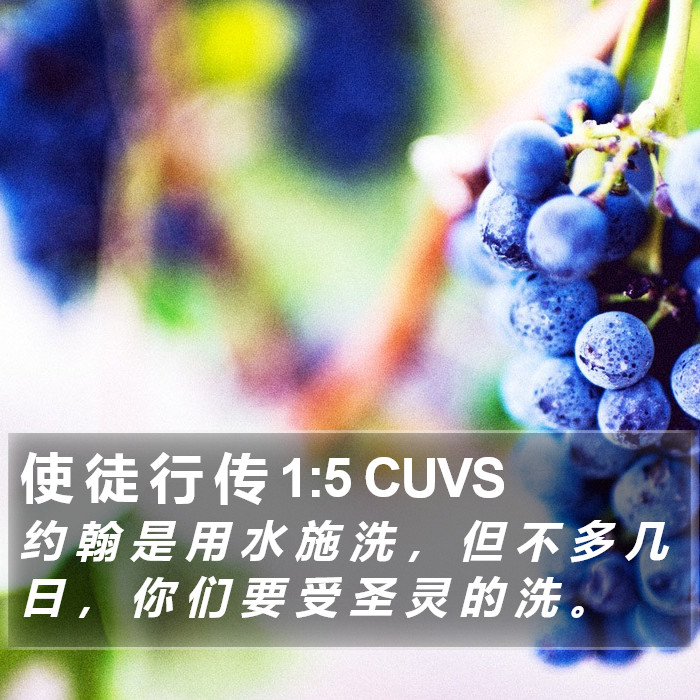 使 徒 行 传 1:5 CUVS Bible Study