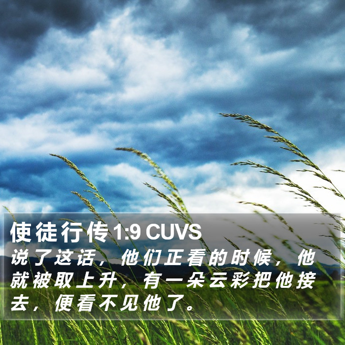 使 徒 行 传 1:9 CUVS Bible Study