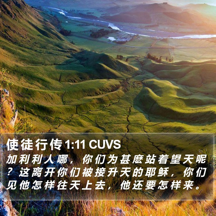 使 徒 行 传 1:11 CUVS Bible Study