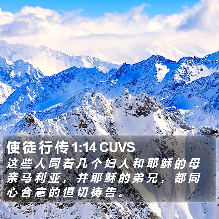 使 徒 行 传 1:14 CUVS Bible Study