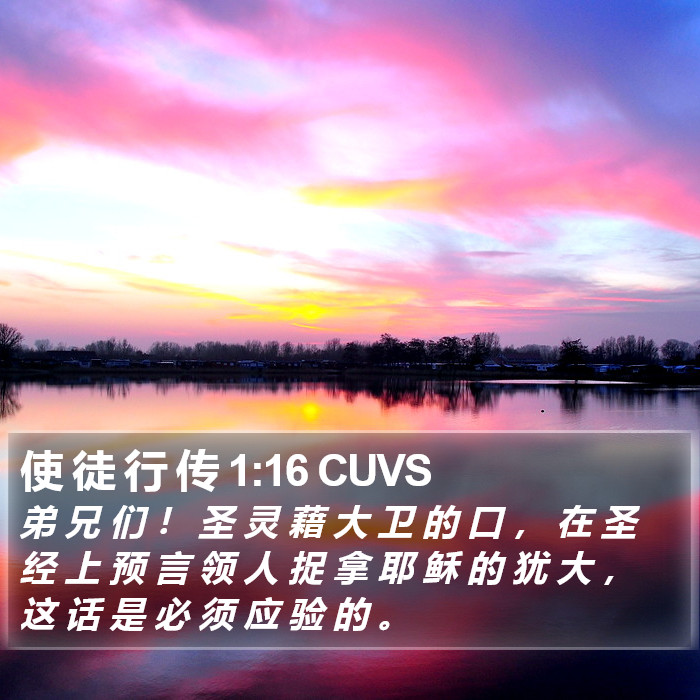 使 徒 行 传 1:16 CUVS Bible Study