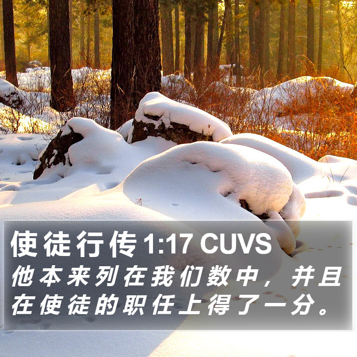 使 徒 行 传 1:17 CUVS Bible Study