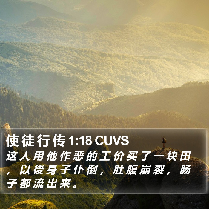 使 徒 行 传 1:18 CUVS Bible Study