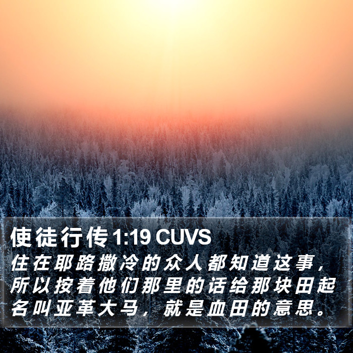 使 徒 行 传 1:19 CUVS Bible Study