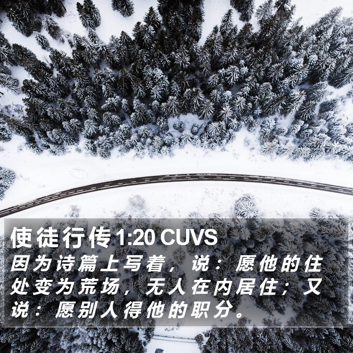 使 徒 行 传 1:20 CUVS Bible Study