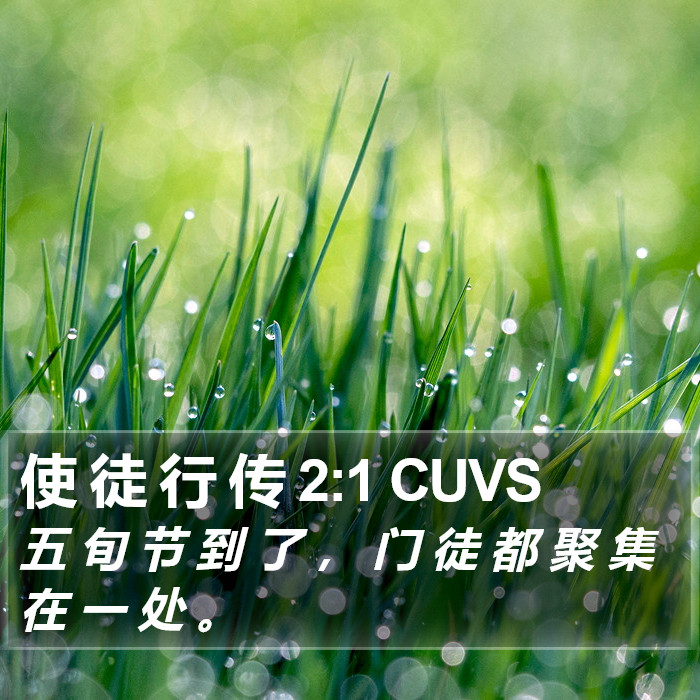 使 徒 行 传 2:1 CUVS Bible Study