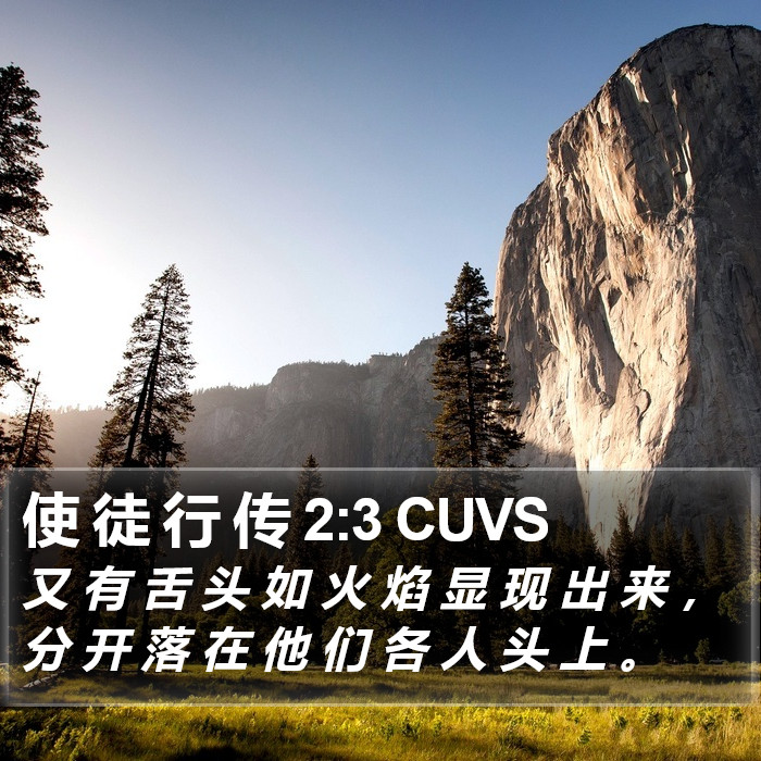 使 徒 行 传 2:3 CUVS Bible Study