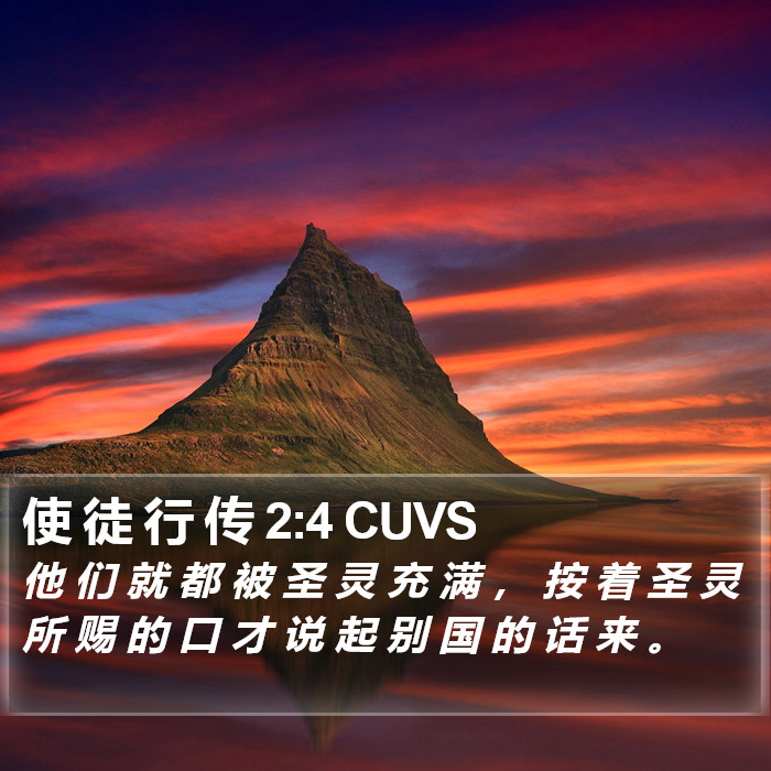 使 徒 行 传 2:4 CUVS Bible Study