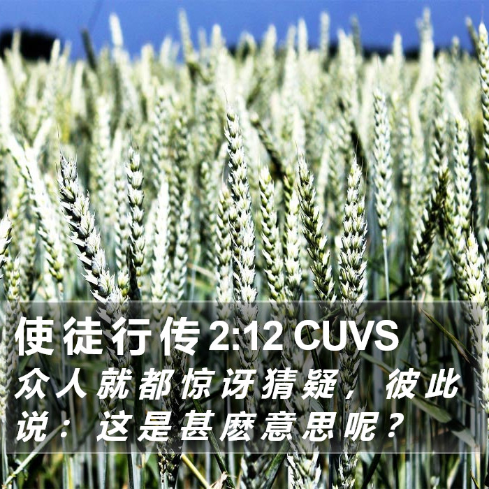 使 徒 行 传 2:12 CUVS Bible Study