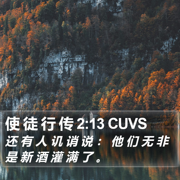 使 徒 行 传 2:13 CUVS Bible Study