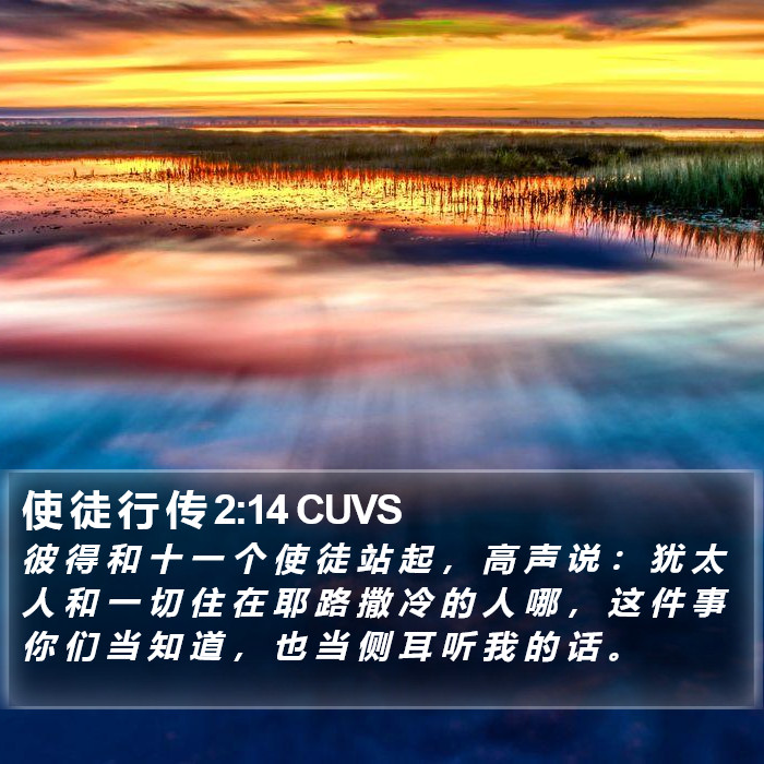 使 徒 行 传 2:14 CUVS Bible Study