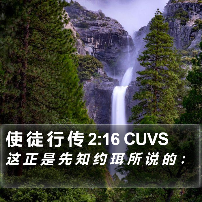 使 徒 行 传 2:16 CUVS Bible Study