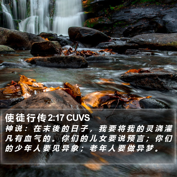 使 徒 行 传 2:17 CUVS Bible Study