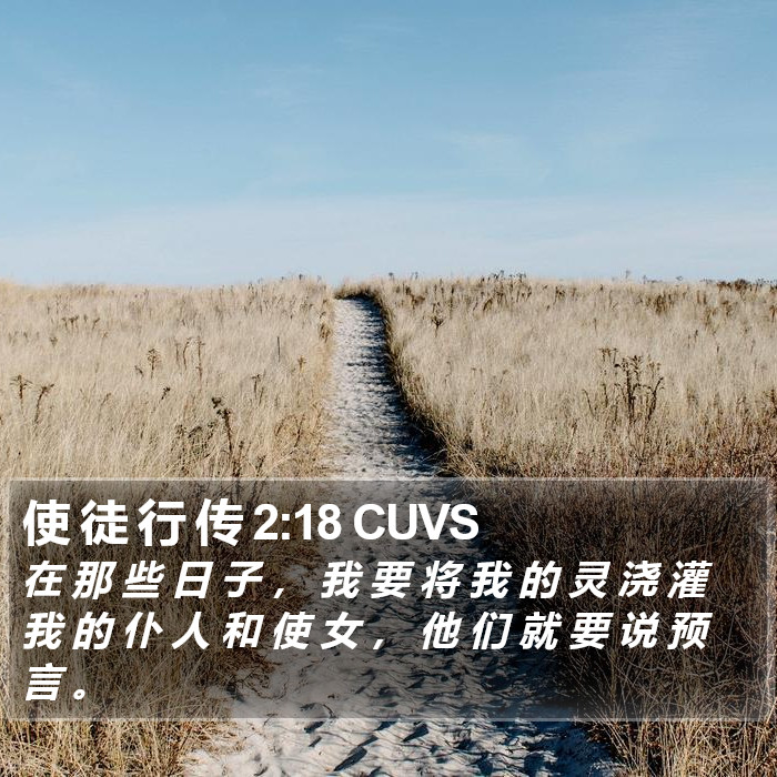 使 徒 行 传 2:18 CUVS Bible Study