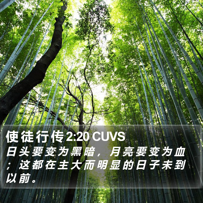 使 徒 行 传 2:20 CUVS Bible Study