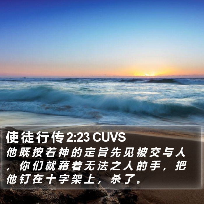 使 徒 行 传 2:23 CUVS Bible Study