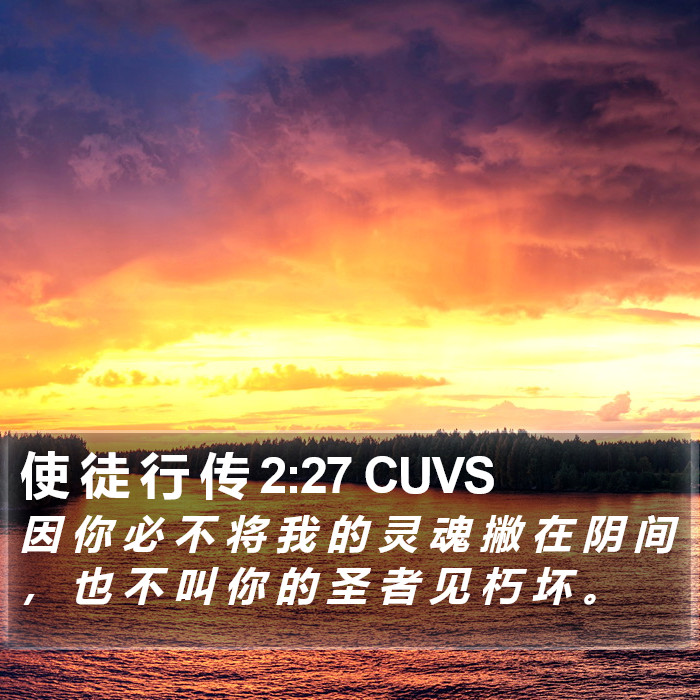 使 徒 行 传 2:27 CUVS Bible Study