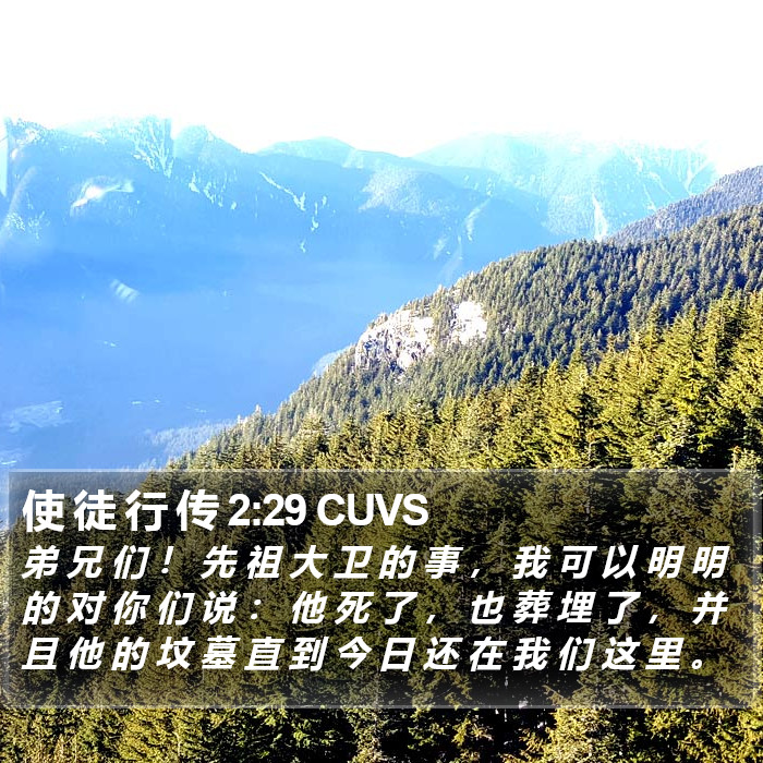 使 徒 行 传 2:29 CUVS Bible Study