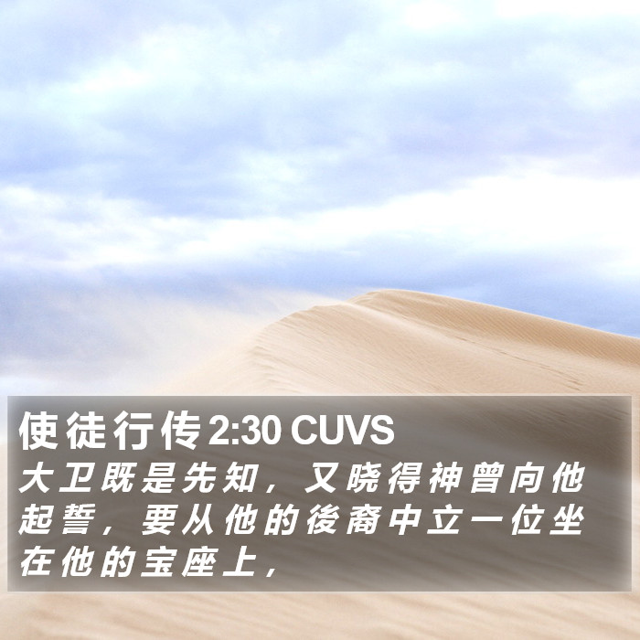 使 徒 行 传 2:30 CUVS Bible Study