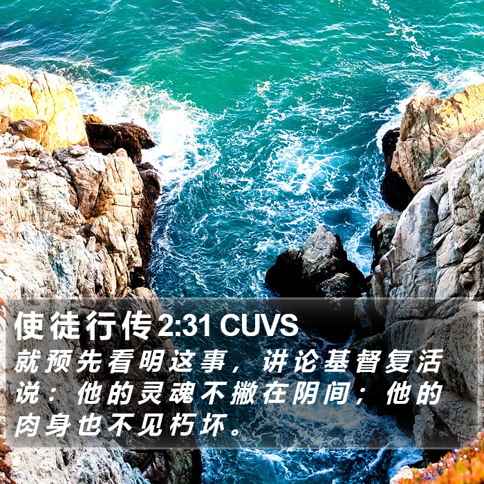 使 徒 行 传 2:31 CUVS Bible Study