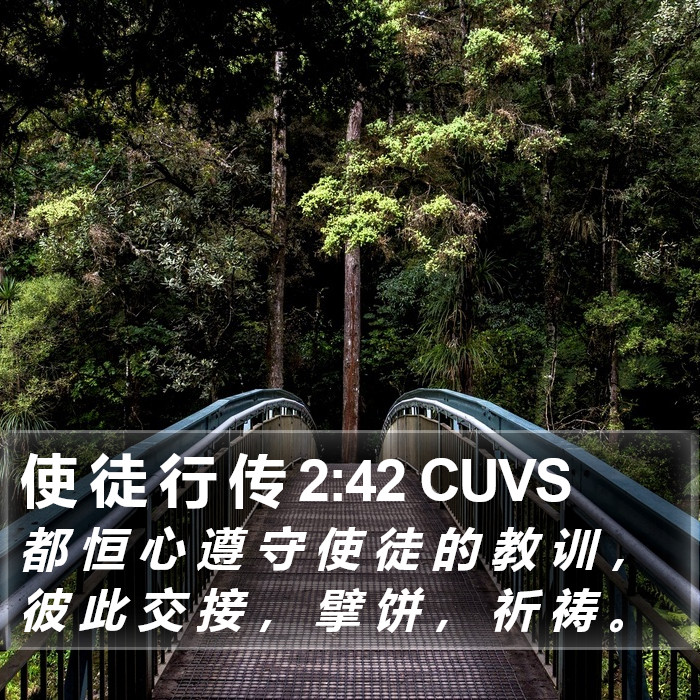 使 徒 行 传 2:42 CUVS Bible Study