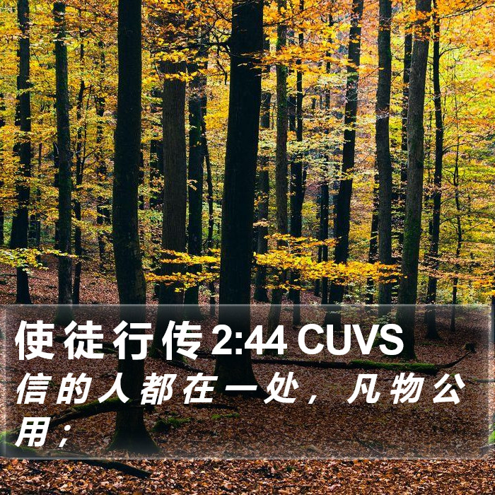 使 徒 行 传 2:44 CUVS Bible Study