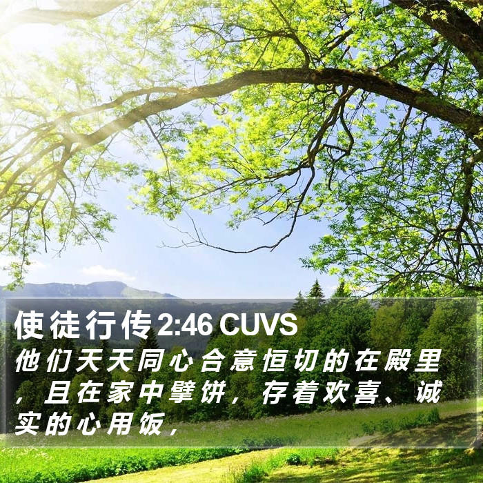 使 徒 行 传 2:46 CUVS Bible Study