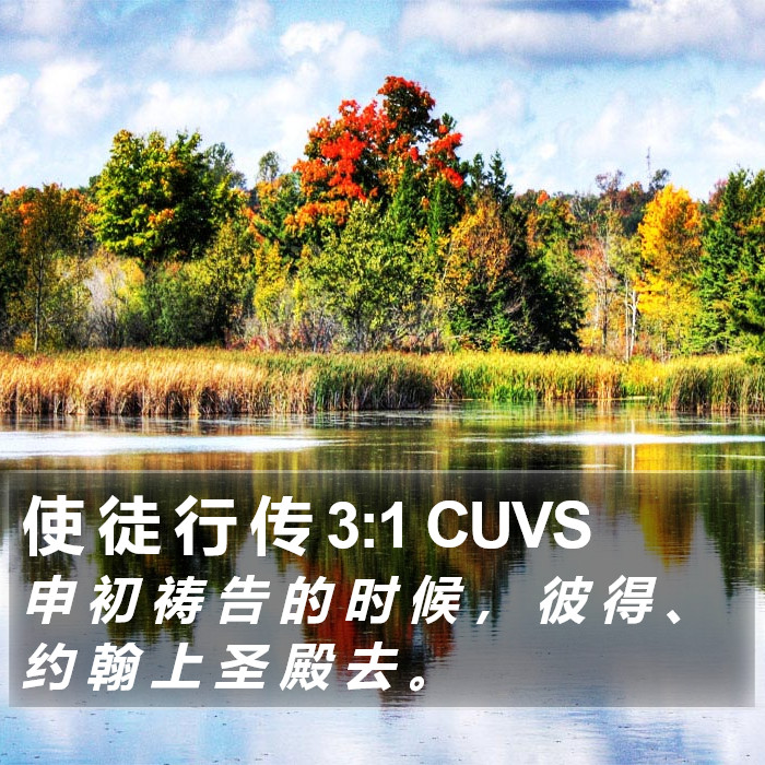 使 徒 行 传 3:1 CUVS Bible Study