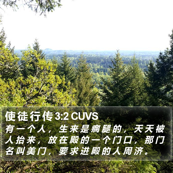 使 徒 行 传 3:2 CUVS Bible Study