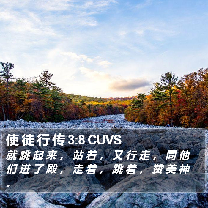 使 徒 行 传 3:8 CUVS Bible Study