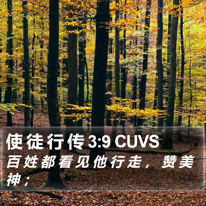 使 徒 行 传 3:9 CUVS Bible Study