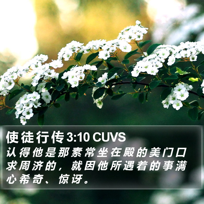 使 徒 行 传 3:10 CUVS Bible Study