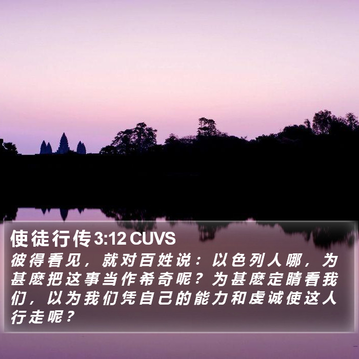 使 徒 行 传 3:12 CUVS Bible Study