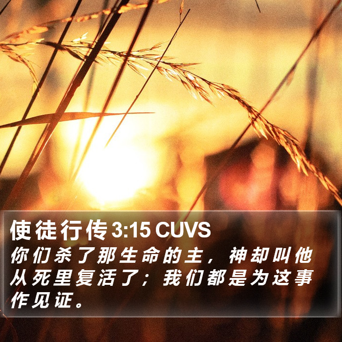 使 徒 行 传 3:15 CUVS Bible Study