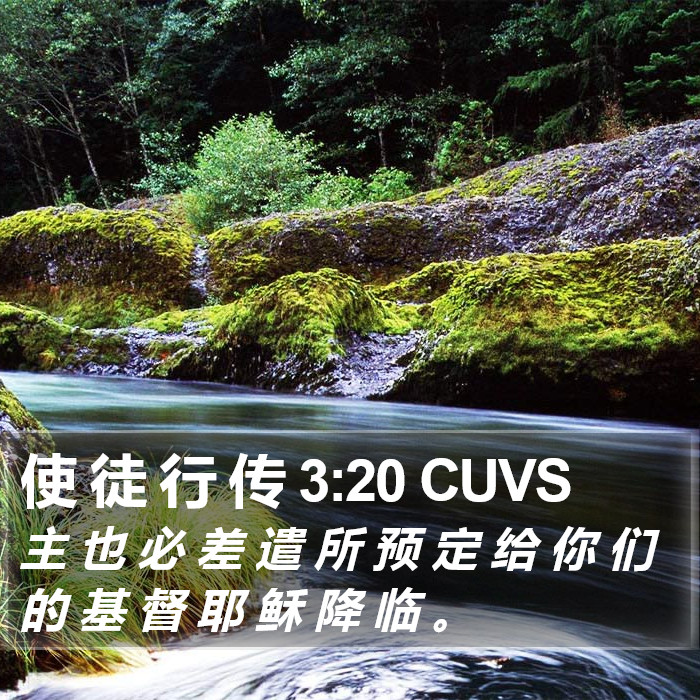 使 徒 行 传 3:20 CUVS Bible Study