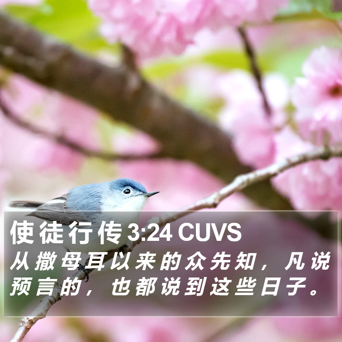 使 徒 行 传 3:24 CUVS Bible Study