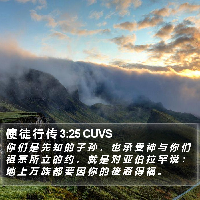 使 徒 行 传 3:25 CUVS Bible Study