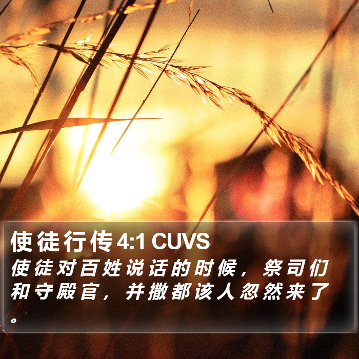 使 徒 行 传 4:1 CUVS Bible Study