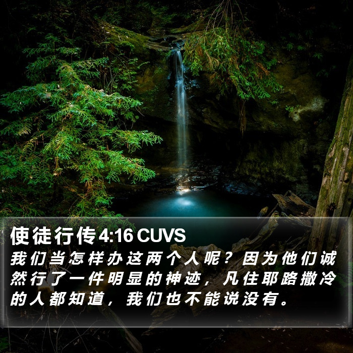 使 徒 行 传 4:16 CUVS Bible Study