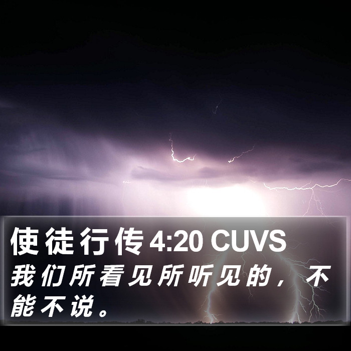 使 徒 行 传 4:20 CUVS Bible Study
