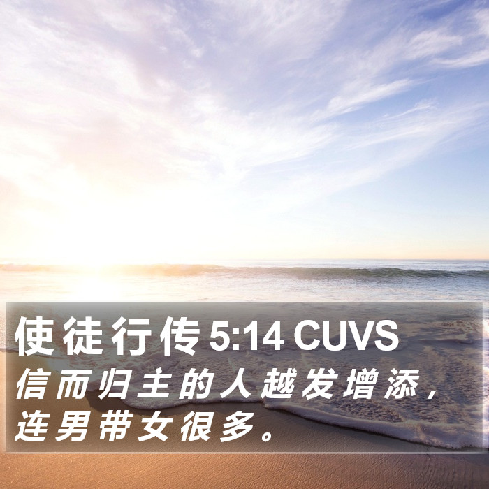 使 徒 行 传 5:14 CUVS Bible Study