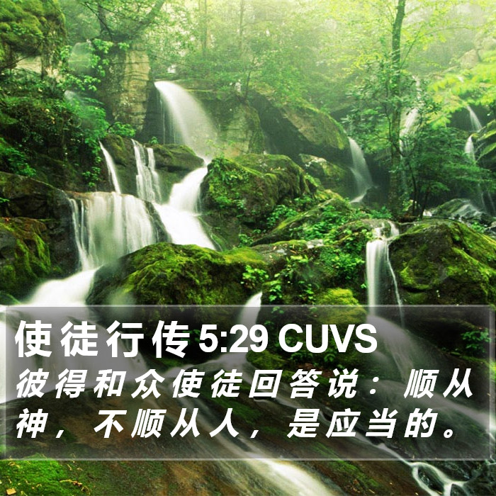 使 徒 行 传 5:29 CUVS Bible Study