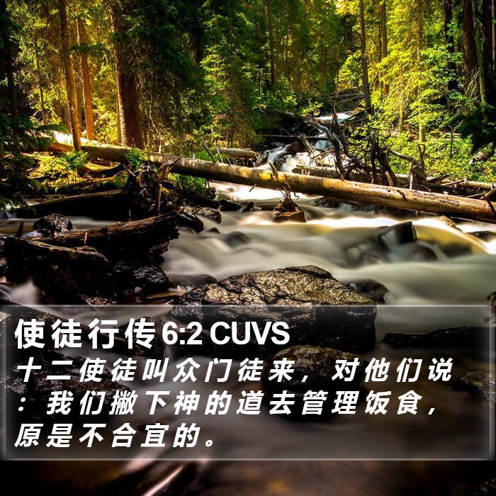 使 徒 行 传 6:2 CUVS Bible Study