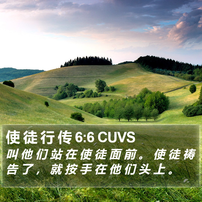 使 徒 行 传 6:6 CUVS Bible Study