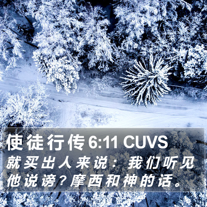 使 徒 行 传 6:11 CUVS Bible Study