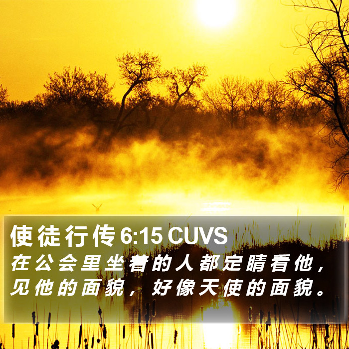 使 徒 行 传 6:15 CUVS Bible Study